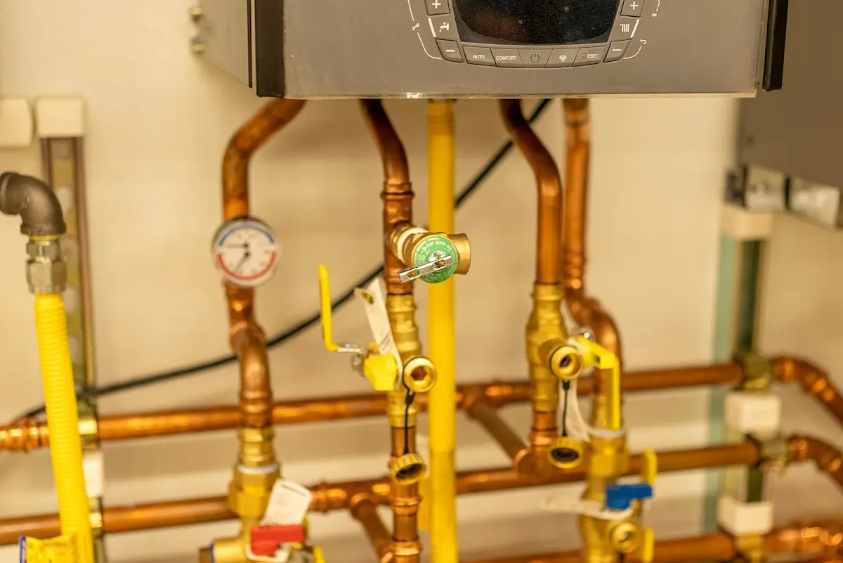 Licensed technician providing Emergency Plumbing for a homeowner in Geneva